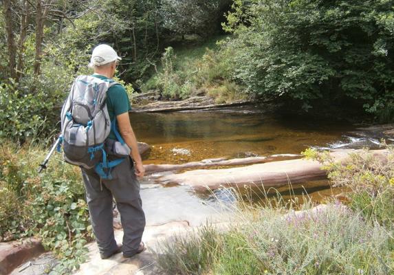 El hayedo del valle del río Cerneja El Correo